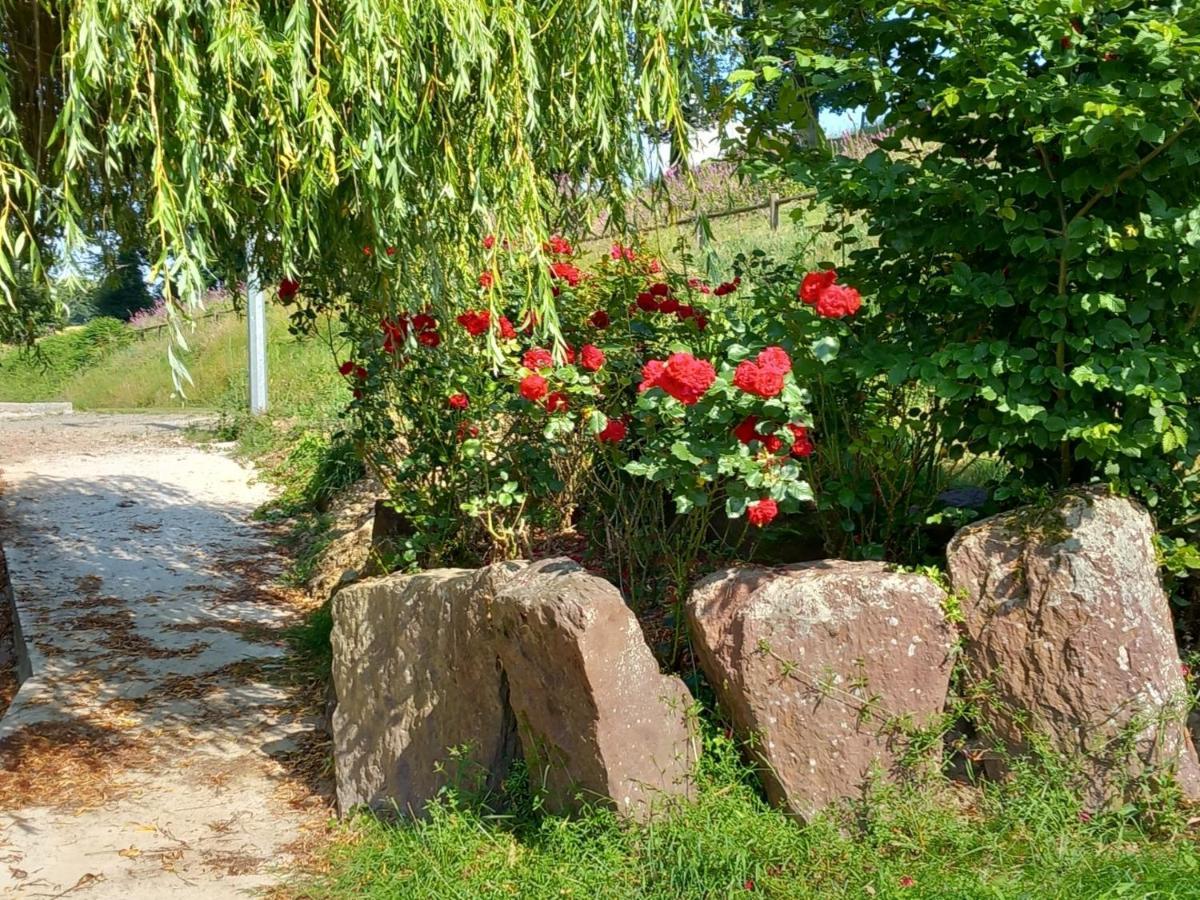 A La Memoire De Merlin & Spa Saint-Malon-sur-Mel Bagian luar foto
