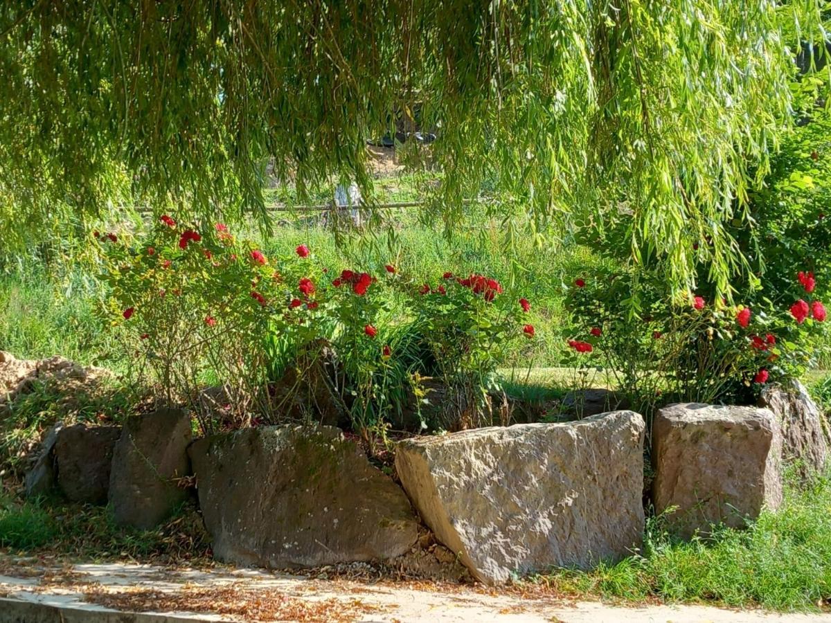 A La Memoire De Merlin & Spa Saint-Malon-sur-Mel Bagian luar foto